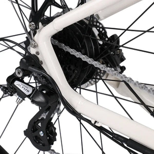Close-up of the Batribike Nova X electric bike Shimano Altus rear derailleur and chain system.