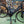 Batribike Penta S Mid-Drive Step Through Electric Bike 250W