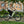 Woman wearing a helmet riding a cream Batribike SUV S electric bike along a cobbled urban path.