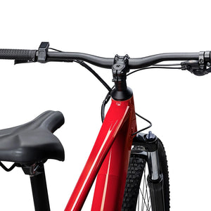 Wide flat handlebar, stem and saddle on the Magma Batribike Trail electric mountain bike seen from behind