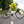 Batribike Zeta Classic Danish Style Step Through Electric Bike 250W