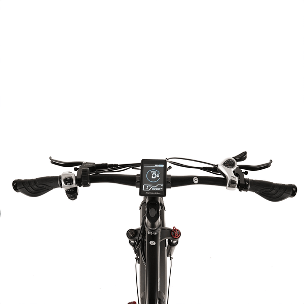 Big Game Bikes Buffalo Mountain Electric Bike 250W