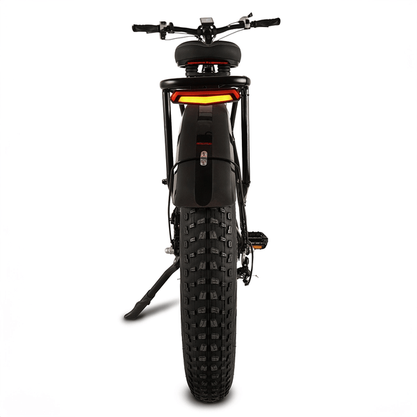 Big Game Bikes Buffalo Mountain Electric Bike 250W