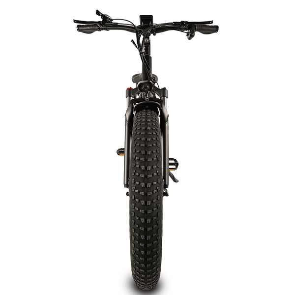 Big Game Bikes Buffalo Mountain Electric Bike 250W