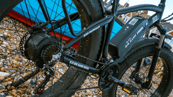 Big Game Bikes Buffalo Mountain Electric Bike 250W
