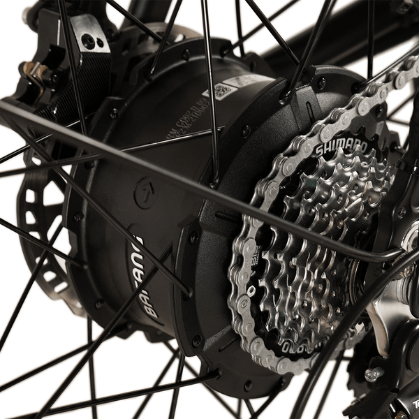 Big Game Bikes Buffalo Mountain Electric Bike 250W