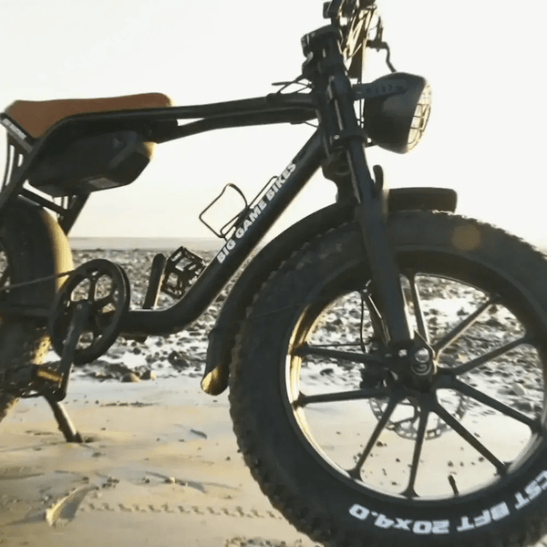 Big Game Bikes Warthog Fat Tyre Cruiser Electric Bike 250W