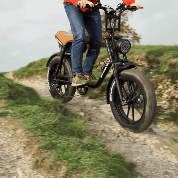 Big Game Bikes Warthog Fat Tyre Cruiser Electric Bike 250W