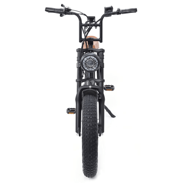 Big Game Bikes Warthog Fat Tyre Cruiser Electric Bike 250W