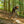 Rider navigating a forest trail on the Claud Butler Wrath 1.0 Cues electric mountain bike, built for off-road performance with 250W motor and robust tyres.