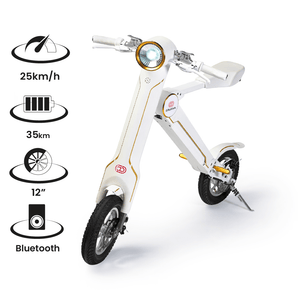 Cruzaa E-Scooter with Built-in Speakers & Bluetooth 250W