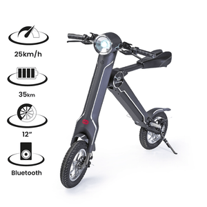 Cruzaa E-Scooter with Built-in Speakers & Bluetooth 250W