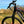 Dallingridge Coniston Hardtail Electric Mountain Bike 250W - Black/Red
