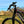 Dallingridge Coniston Hardtail Electric Mountain Bike 250W - Black/Red