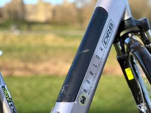 Dallingridge Harlow Step Through Hybrid Electric Bike 250W - Silver