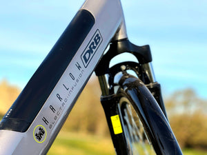 Dallingridge Harlow Step Through Hybrid Electric Bike 250W - Silver