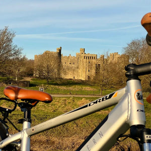 Detail view of the Dallingridge Malvern's silver top tube and tan saddle.