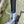 Dallingridge Malvern Hybrid Electric Bike 250W - Silver