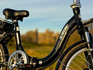 Dallingridge Oxford Folding Electric Bike 250W - Black