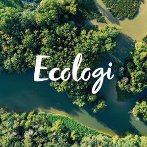 Aerial view of a forest with a river, featuring the word 'Ecologi'.