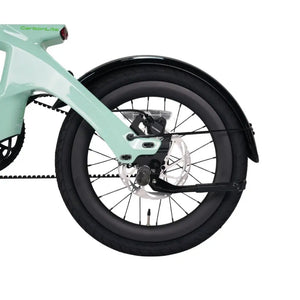 Close-up of the rear wheel, fender, and disc brake caliper on the E-Go CarbonLite.
