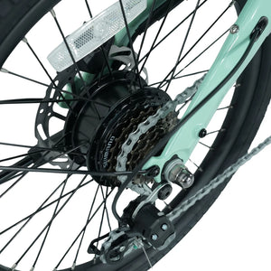250W rear hub motor, Shimano 7-speed cassette and disc brake on the E-Go CarbonStep