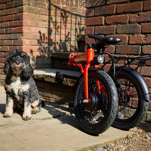 The E-Go Lite electric bike in bright red, folded compactly next to a dog on a garden step, illustrating its portability for pet owners and caravan holidays.