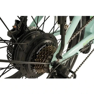 Detail of the 250W rear hub motor on the E-Go Low Step, integrated with the Shimano gear cassette and disc brake rotor for reliable power and stopping.
