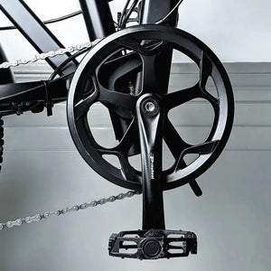 Crankset and pedal of E Movement Raven electric bike.
