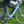 Emu Classic Step Through Electric Bike 250W