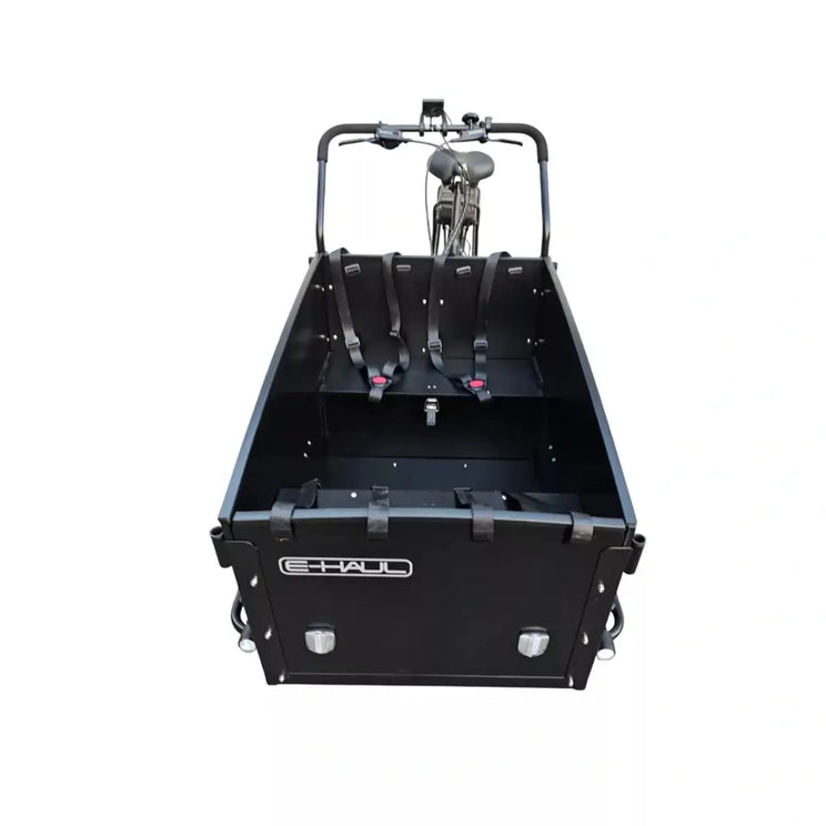 Front interior view of the EMU Cargo Box Electric Trike 250W showing cargo box seating and safety harnesses.