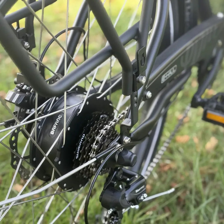 Bafang rear hub motor with Shimano 7-speed cassette on the Emu E-Haul
