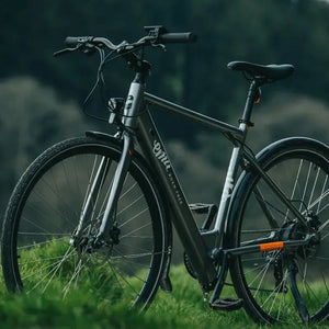 Angled view of the grey Emu Evo Crossbar electric bike parked in a grassy field.
