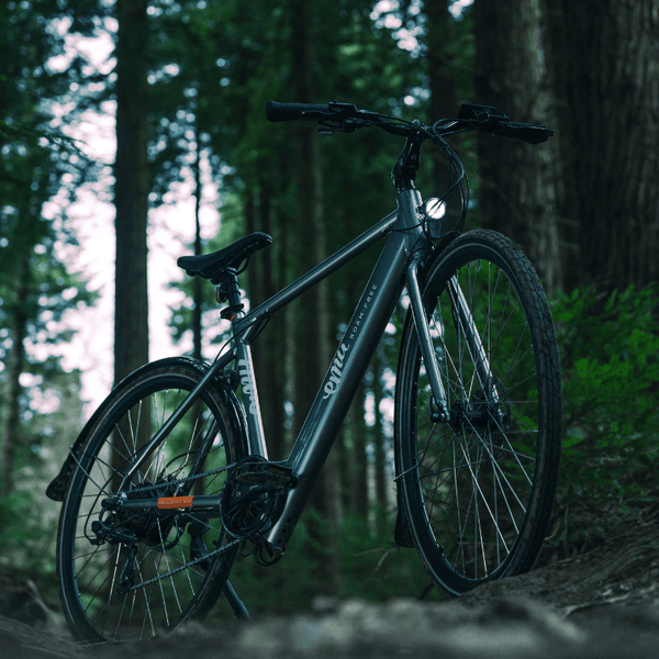 Emu Evo Crossbar Hybrid Electric Bike 250W