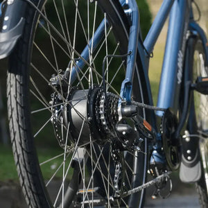 Close-up of a bicycle's rear wheel and gear system with a blurred background