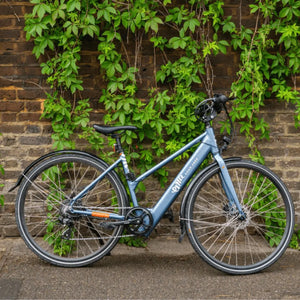 Blue Emu Evo Step Through electric bike leaned against a rustic brick wall covered in green ivy.