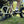 Low angle front three quarter view of Emu Longtail crankset and Kenda fat tyre with rider.