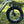 Front suspension fork and Kenda fat tyre close up on the cream Emu Longtail cargo e-bike.