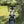 Front view of Emu Longtail showing swept handlebars brown grips front basket and headlight.