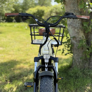 Front view of Emu Longtail showing swept handlebars brown grips front basket and headlight.