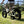 Low angle view of rider on Emu Longtail with large black rear cargo rack on grass.