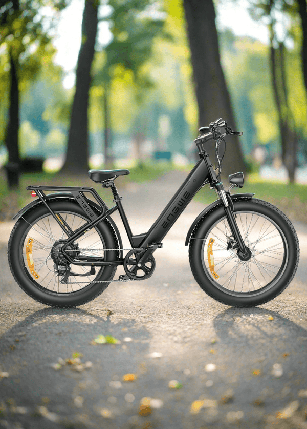 Engwe E26 Electric Bike 250W