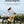 Engwe E26 Electric Bike 250W