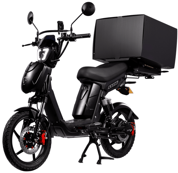 Eskuta SX-250 Series 4 Cargo Moped Style Electric Bike 250W