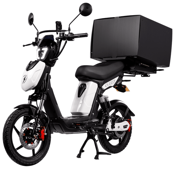 Eskuta SX-250 Series 4 Cargo Moped Style Electric Bike 250W