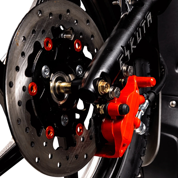 Close up of the Eskuta SX-250 front disc brake and red brake caliper