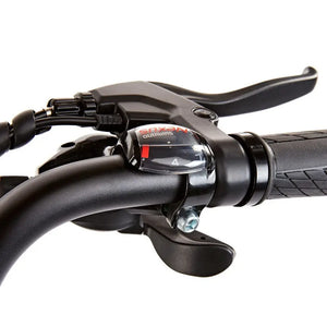 Rider's view of the Shimano Nexus 7-speed grip shifter located on the right handlebar of the EZEGO Step NX.