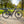 EZEGO Step NX Electric Bike 26