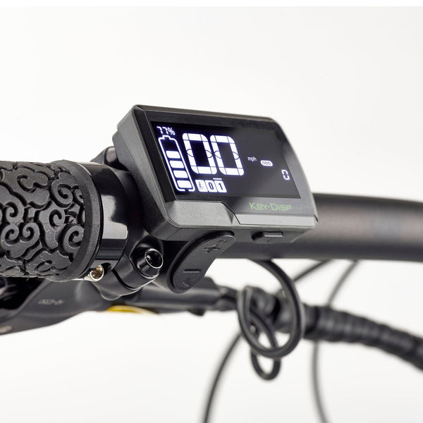 EZEGO Trail Destroyer II 2025 Electric Mountain Bike 250W