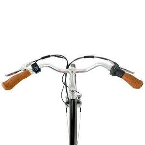 Falcon Heritage showing handle bar and LCD display